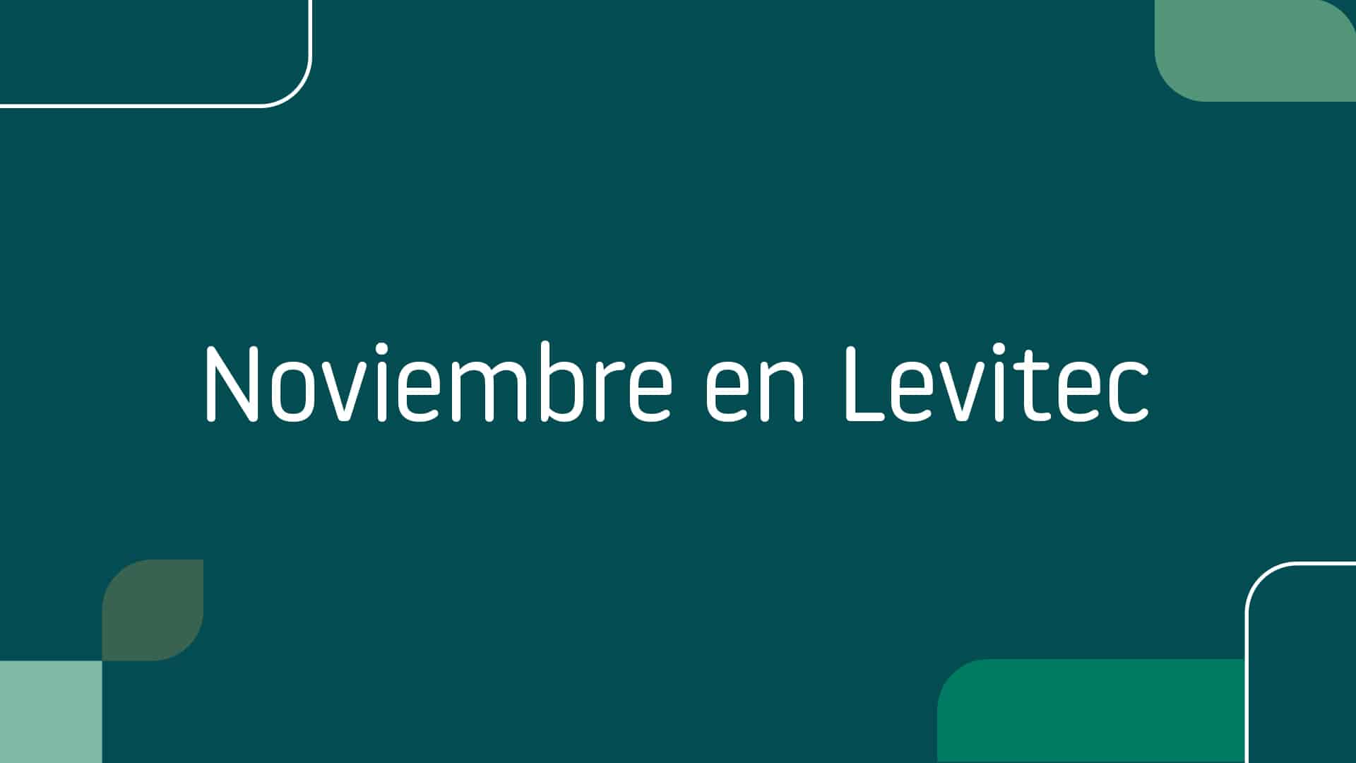 Noviembre en Levitec